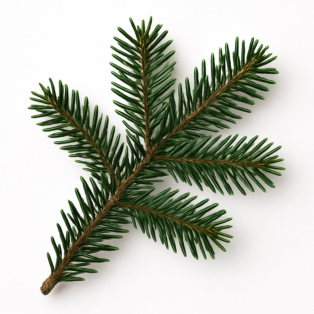 CHRISTMAS TREES