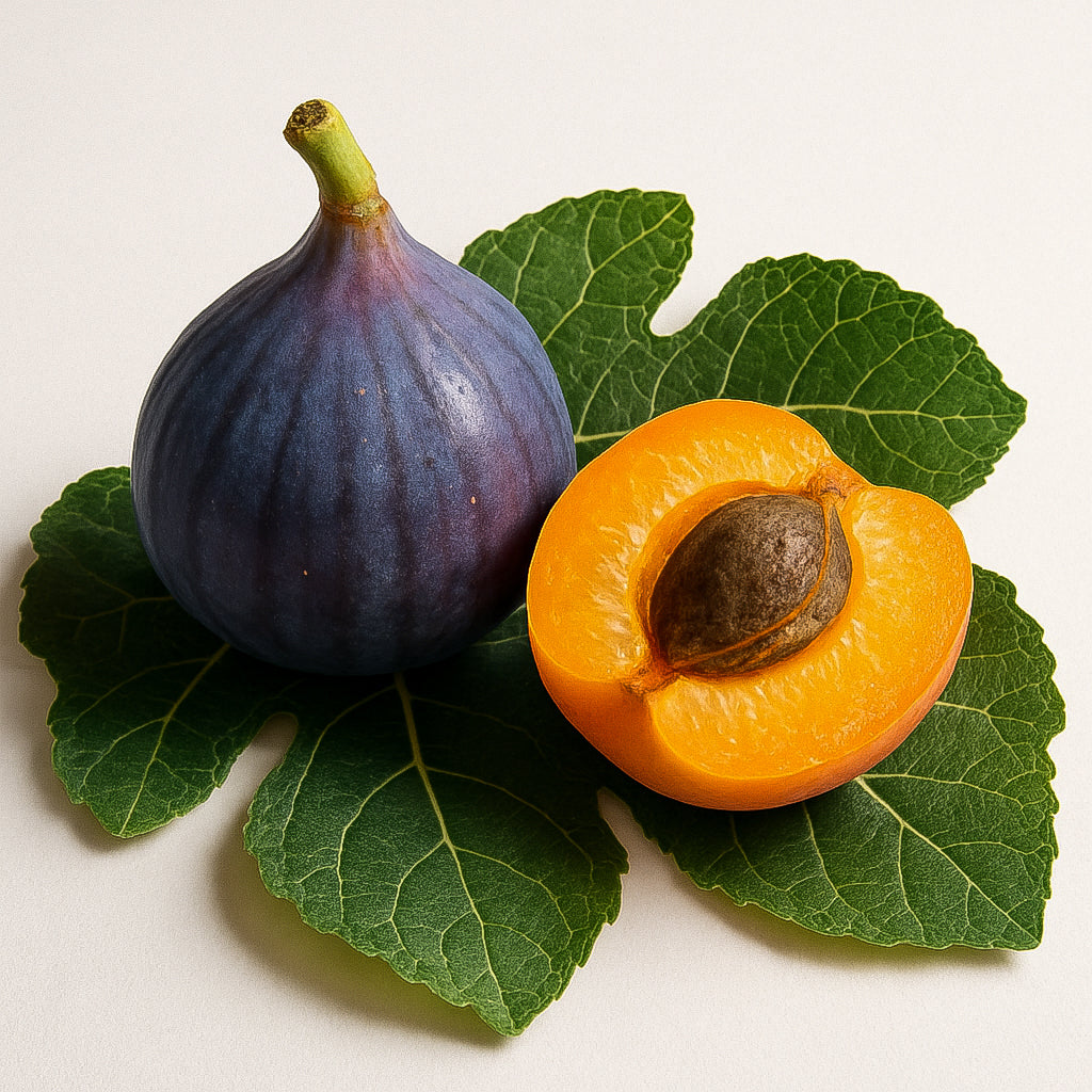FIG TREE AND APRICOT